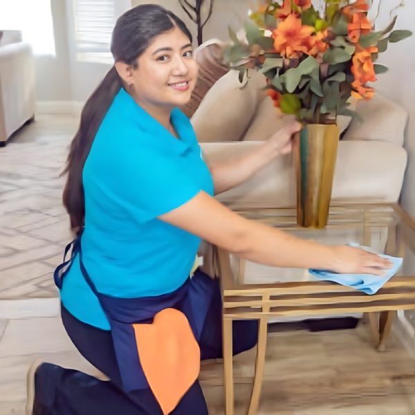 Hourly cleaning for when you need an expedite short clean